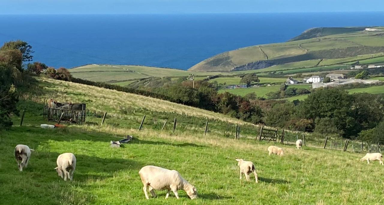 Polrunny Farm Sloe Cottage With A Sea View Boscastle Exterior foto