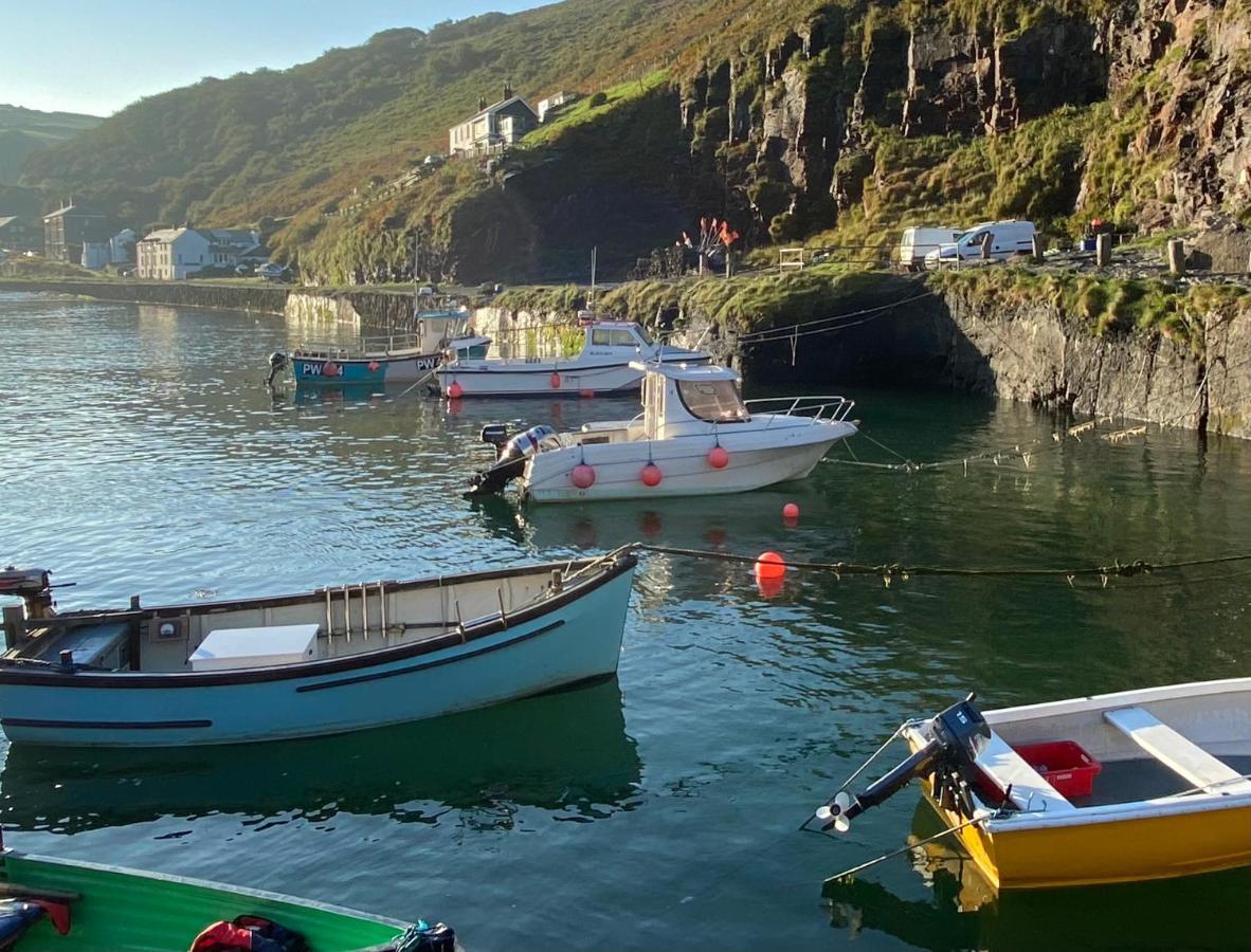 Polrunny Farm Sloe Cottage With A Sea View Boscastle Exterior foto