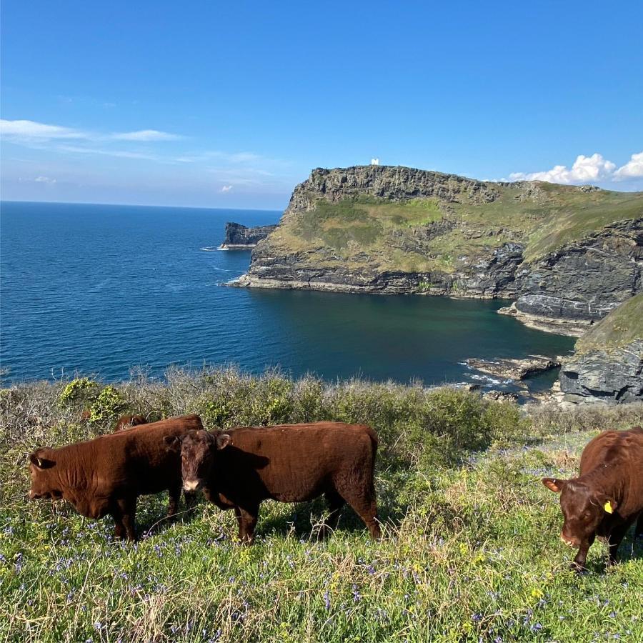 Polrunny Farm Sloe Cottage With A Sea View Boscastle Exterior foto
