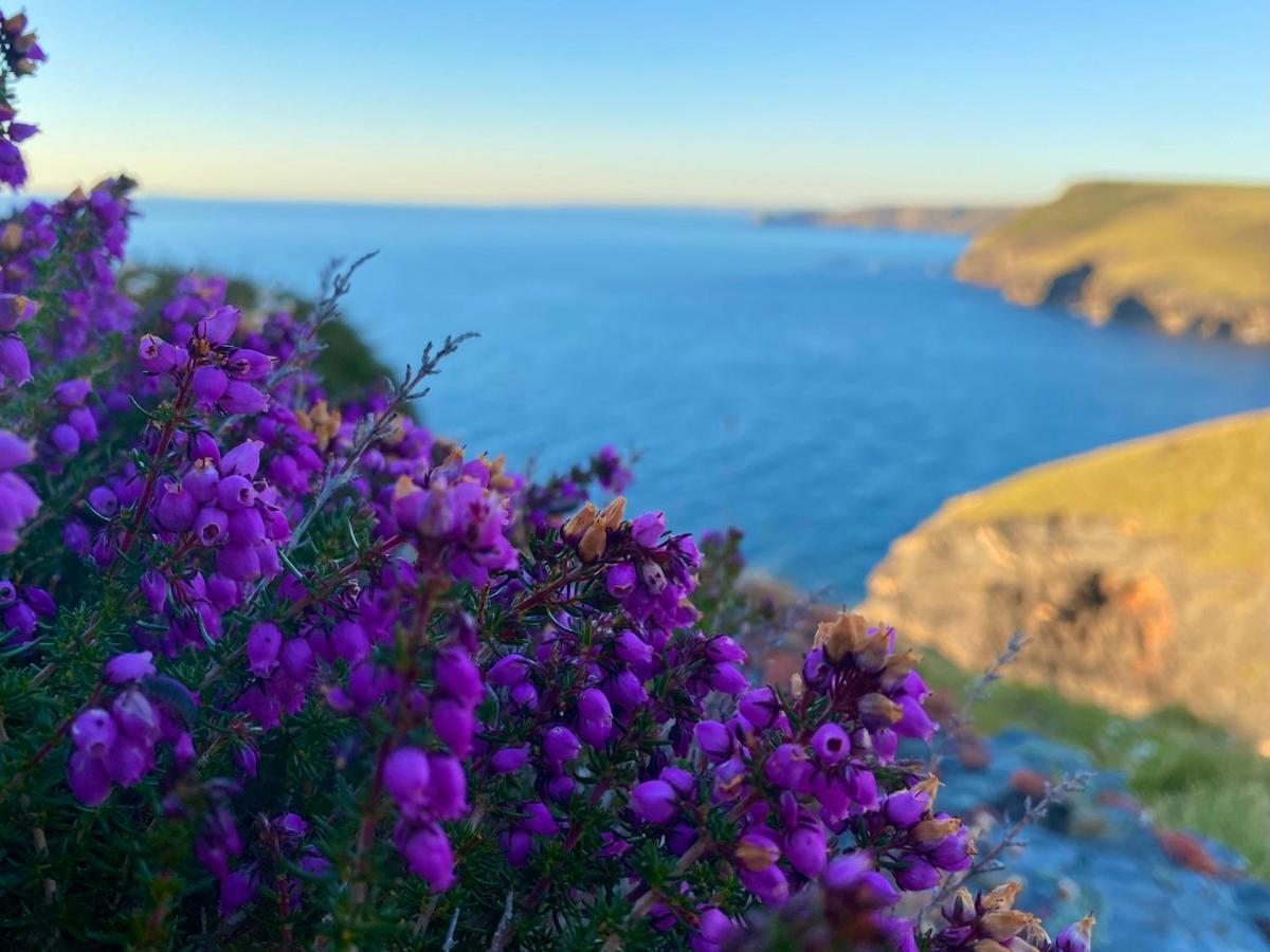 Polrunny Farm Sloe Cottage With A Sea View Boscastle Exterior foto