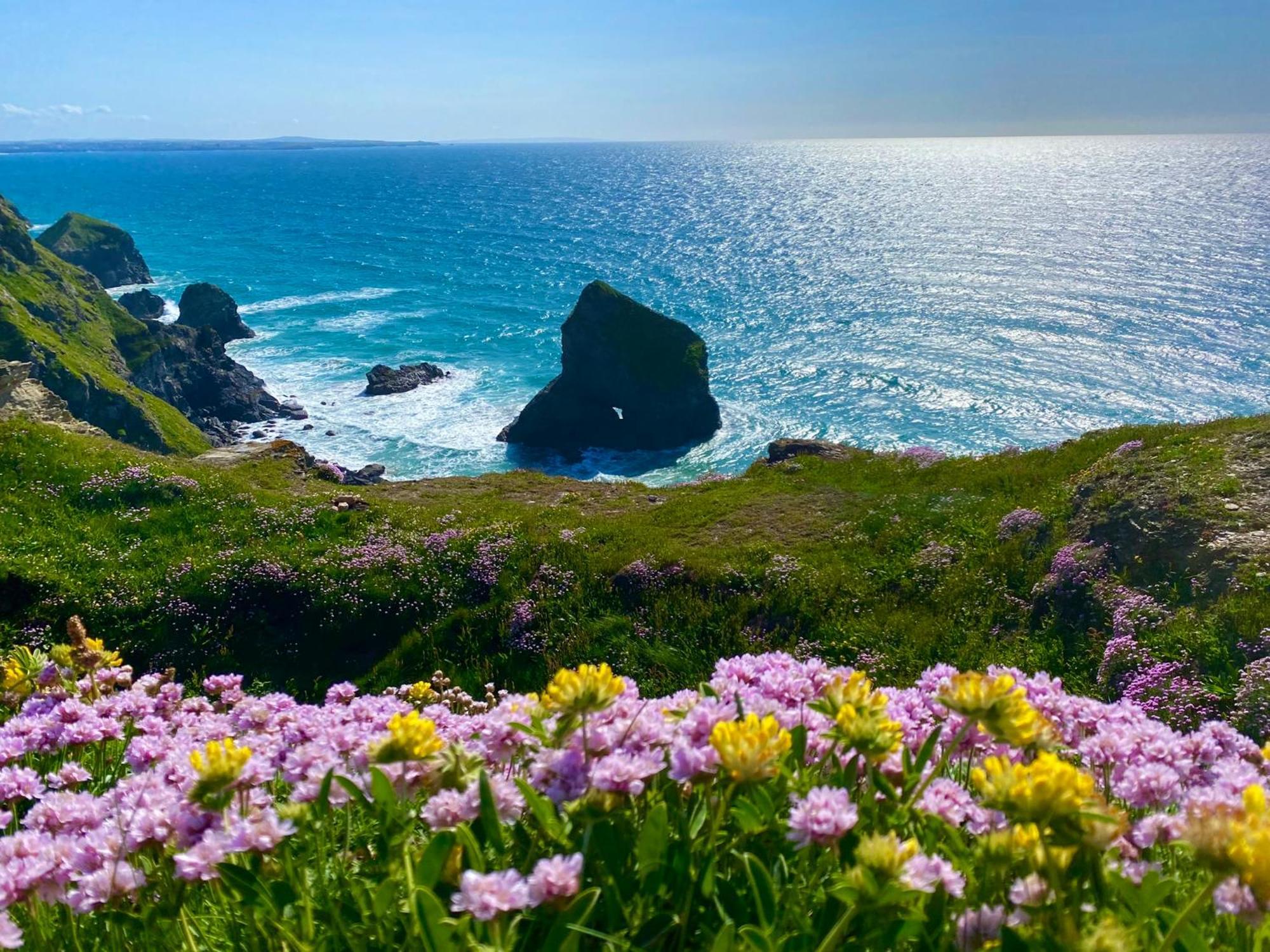 Polrunny Farm Sloe Cottage With A Sea View Boscastle Exterior foto